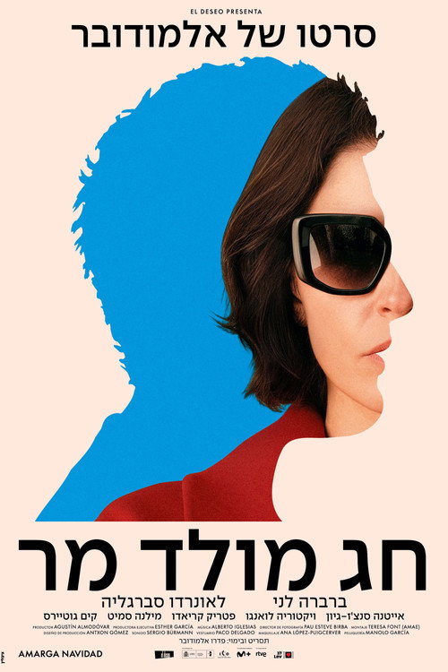 פוסטר חג מולד מר