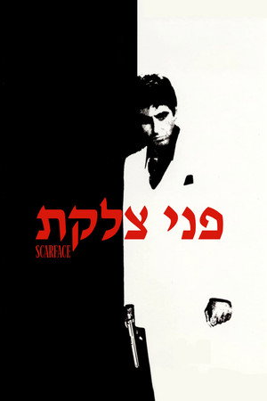 פוסטר הסרט פני צלקת (1983)