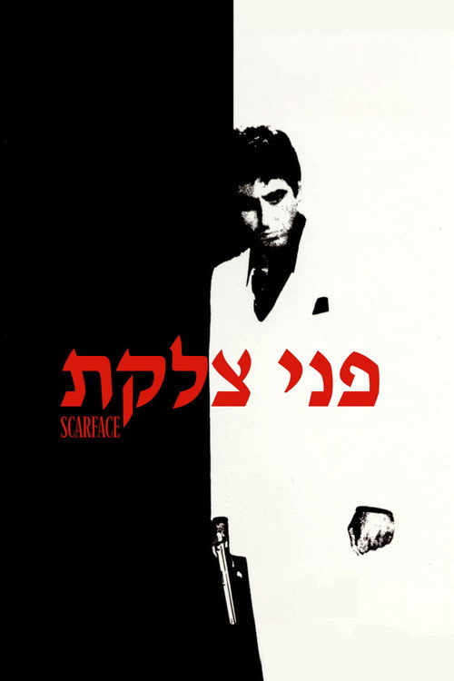 פוסטר פני צלקת