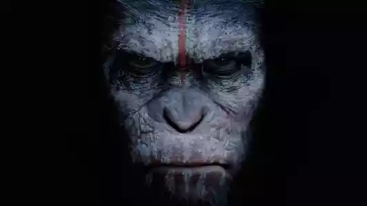 Планета обезьян: Революция לצפייה ישירה בחינם