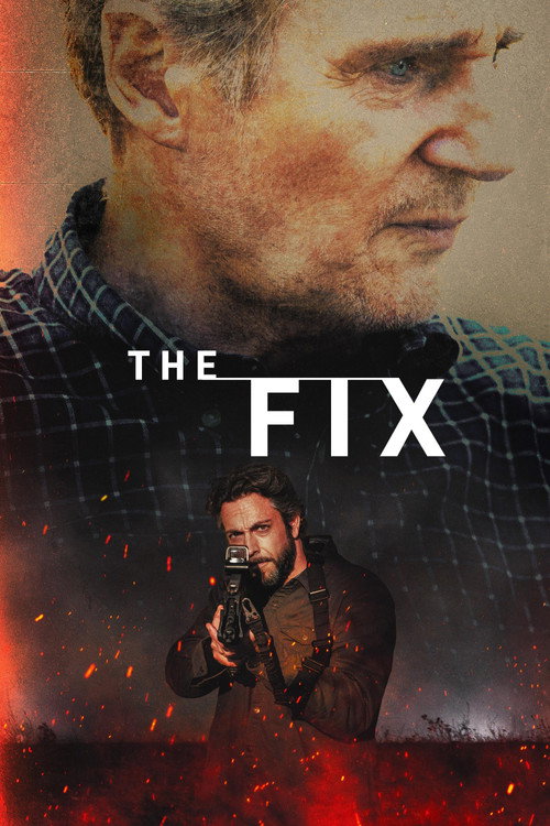 פוסטר The Fix