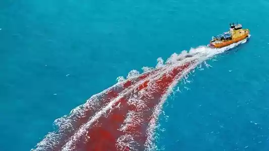 Dangerous Animals לצפייה ישירה בחינם