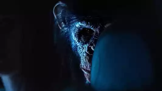 קוף הדם לצפייה ישירה בחינם