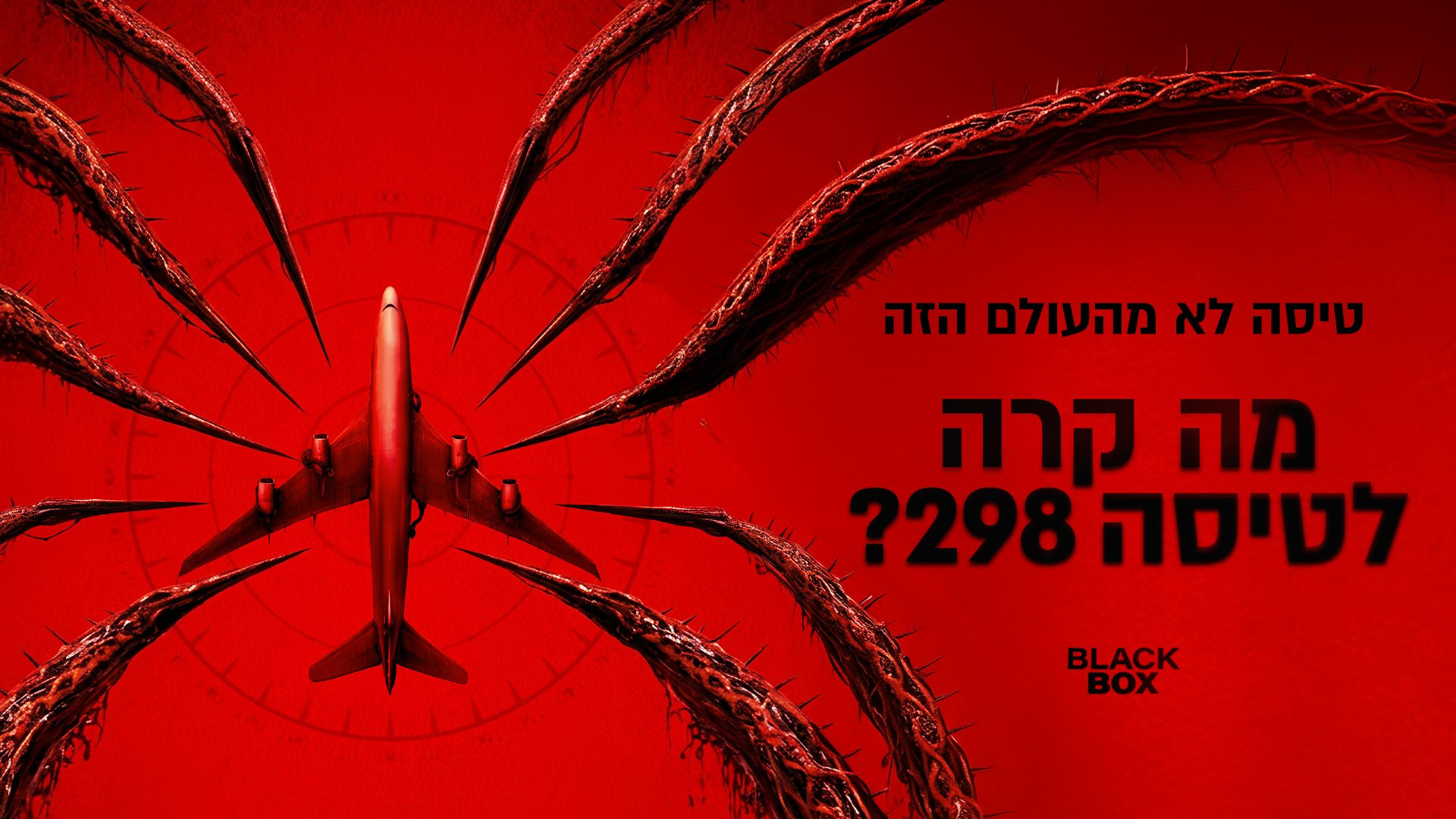 מה קרה לטיסה 298?