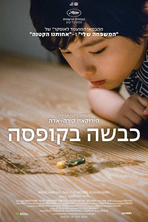 פוסטר כבשה בקופסה