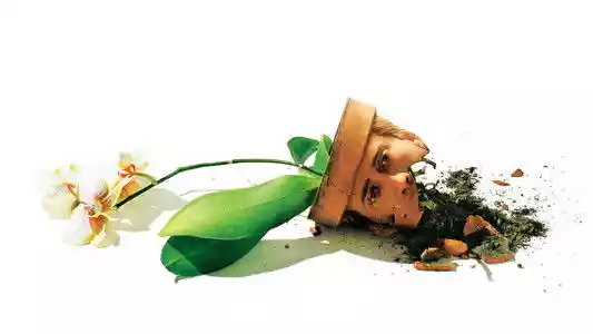 אדפטיישן לצפייה ישירה בחינם