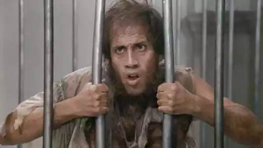 בינגו בונגו לצפייה ישירה בחינם