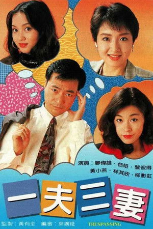 פוסטר הסדרה 一夫三妻 (1994)