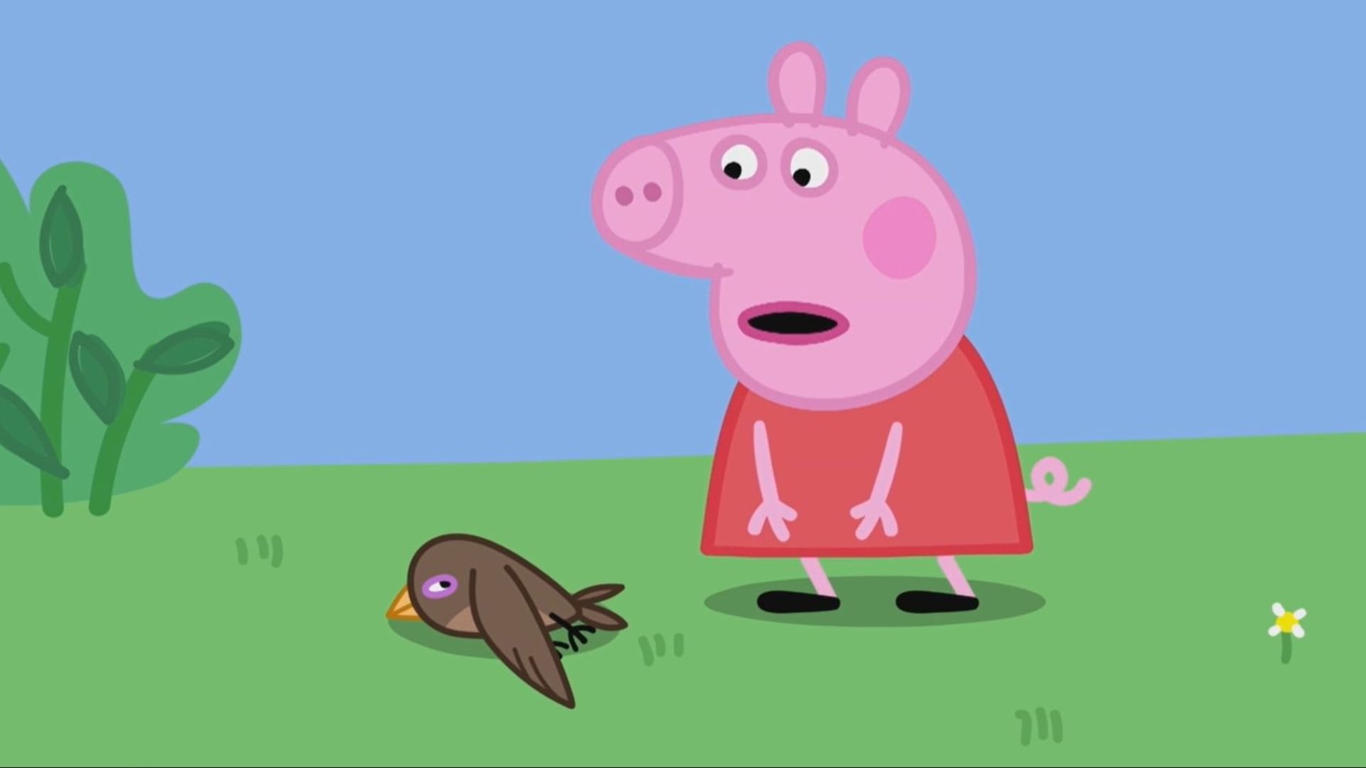 פרק 10
