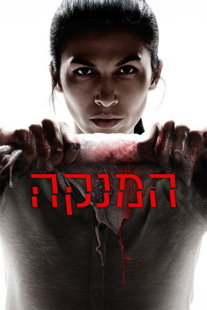 פוסטר הסדרה המנקה (2022)