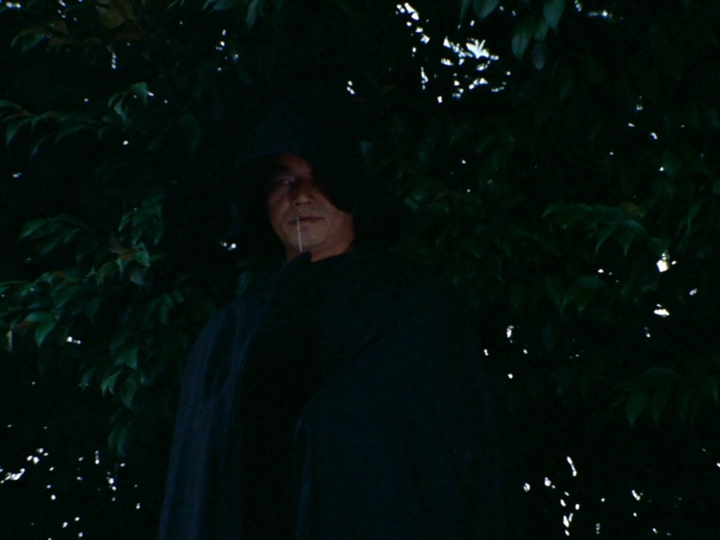 פרק 87