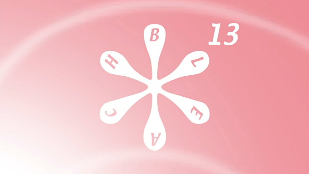פרק 13