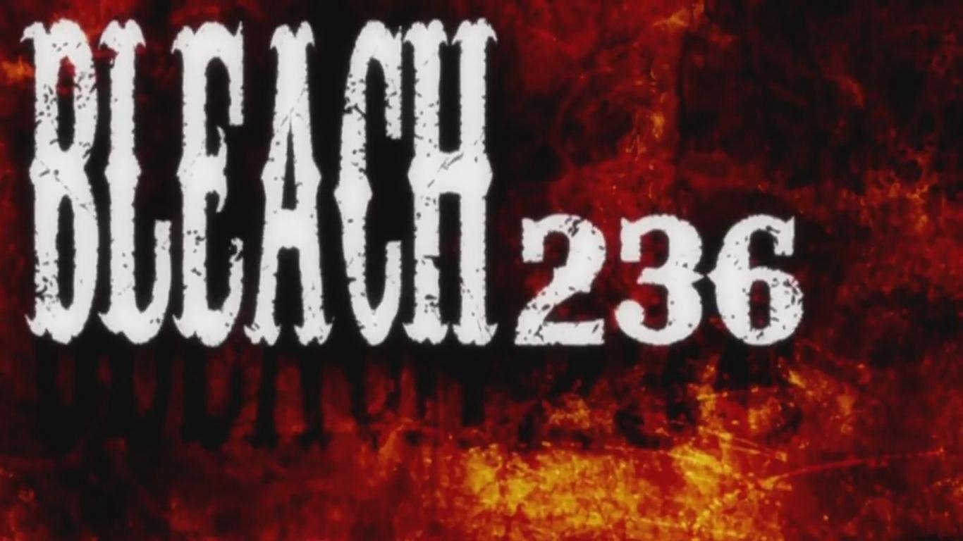 פרק 236