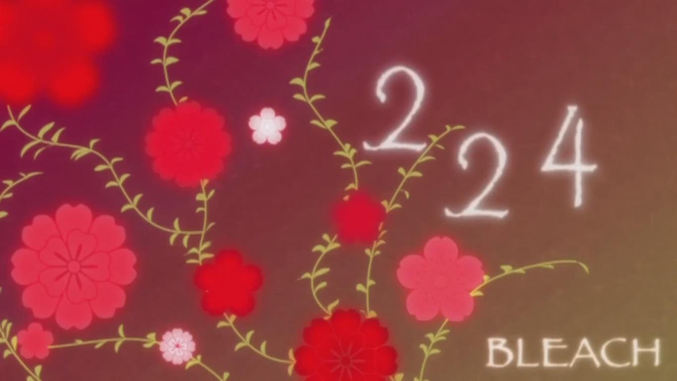 פרק 224
