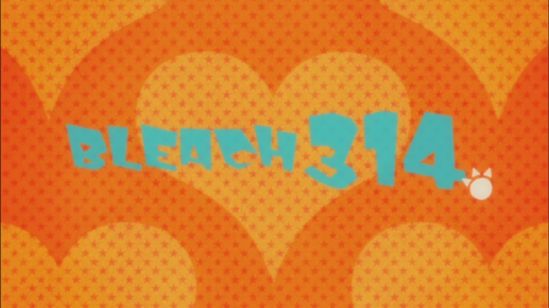 פרק 314