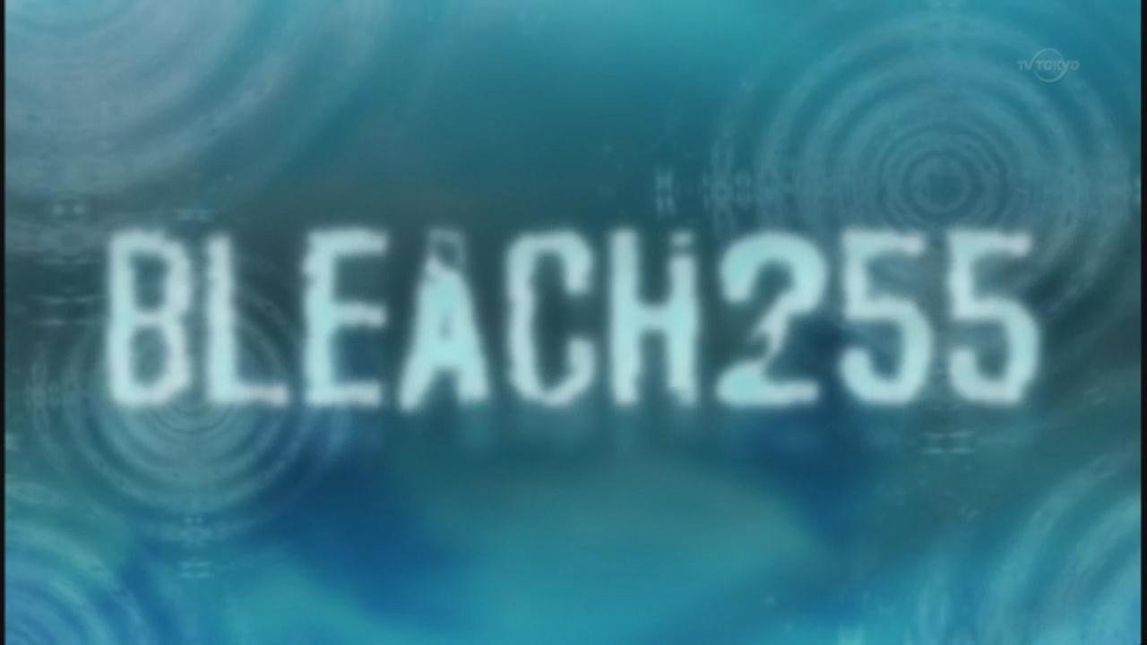 פרק 255