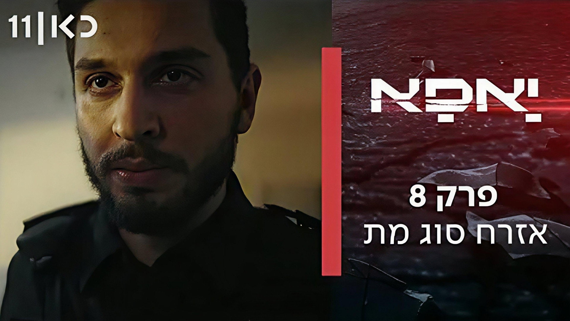 פרק 8