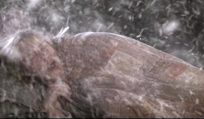 פרק 18