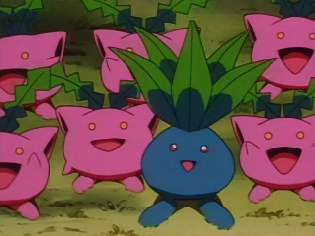 פרק 21