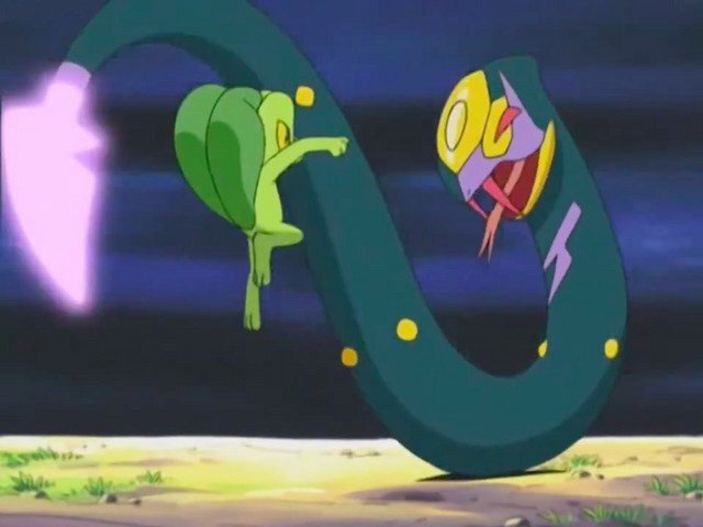 פרק 8