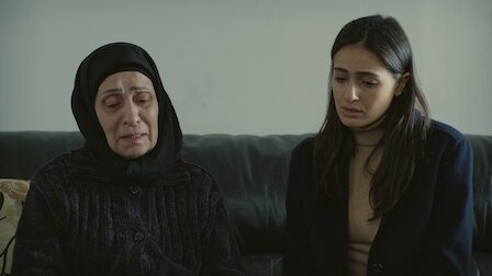 פרק 11
