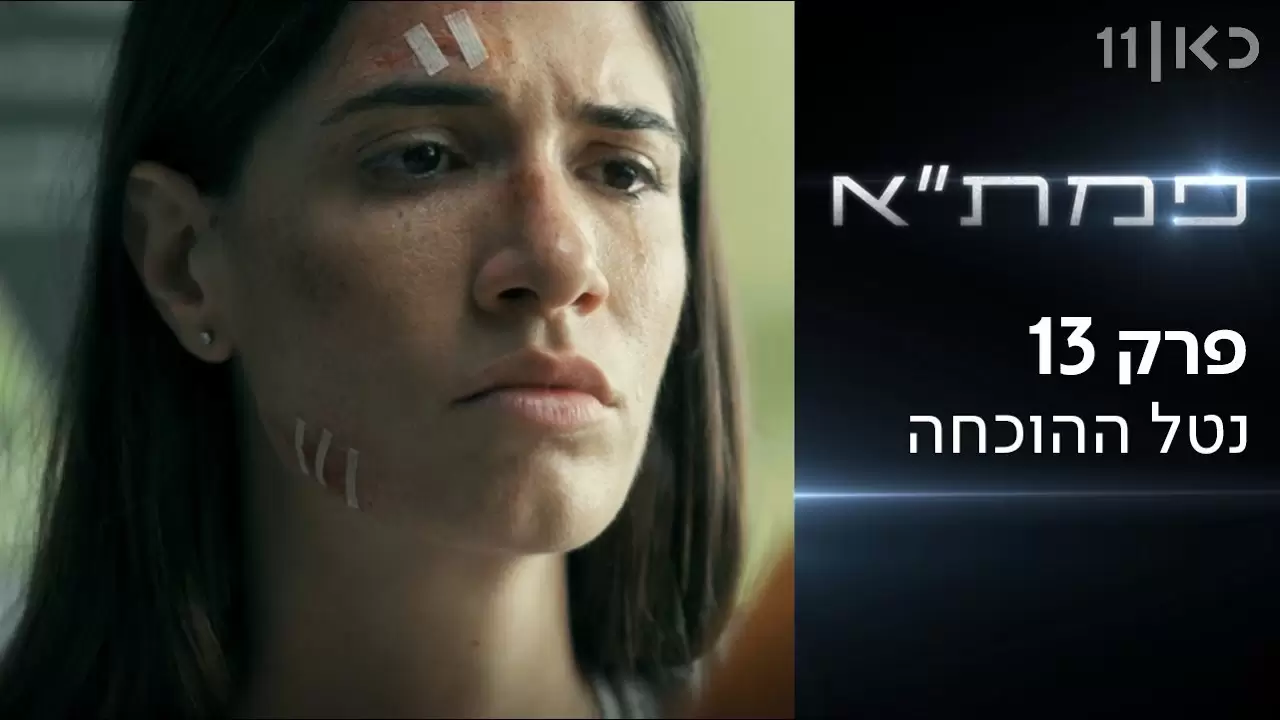 פרק 13