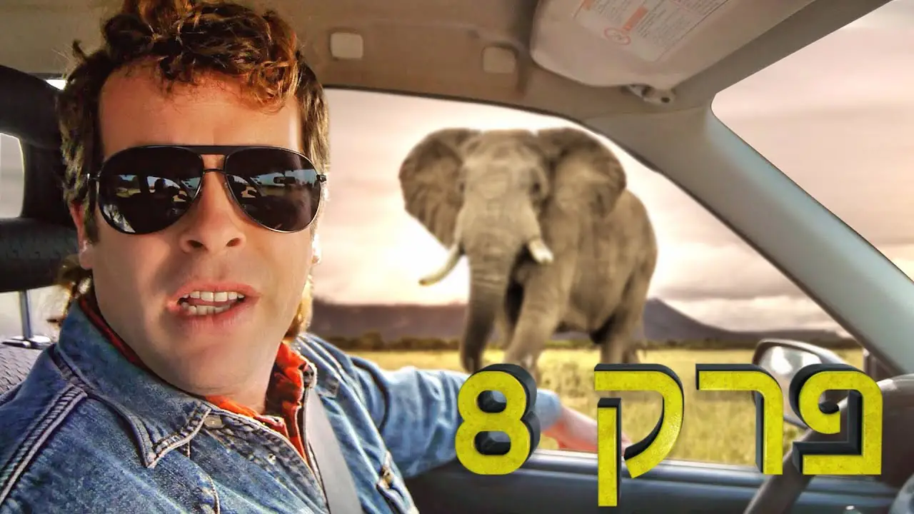 פרק 8